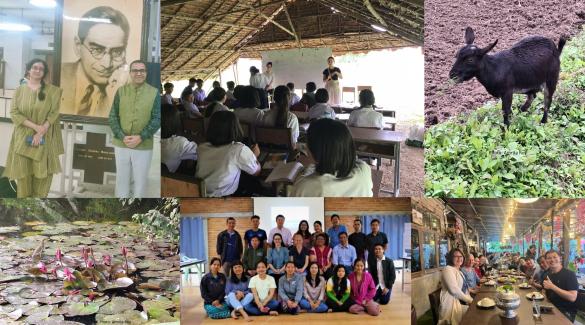 A collage of photos from research in India and Thailand